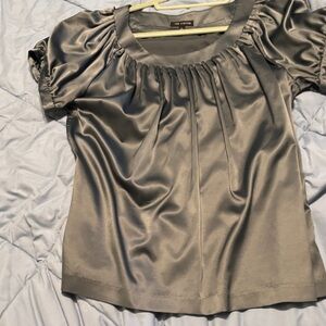 The Limited Elegant Silver Blouse